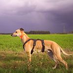 Herbstliches Wetter...