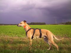 Herbstliches Wetter...