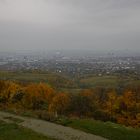 herbstliches Wien