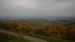 herbstliches Wien