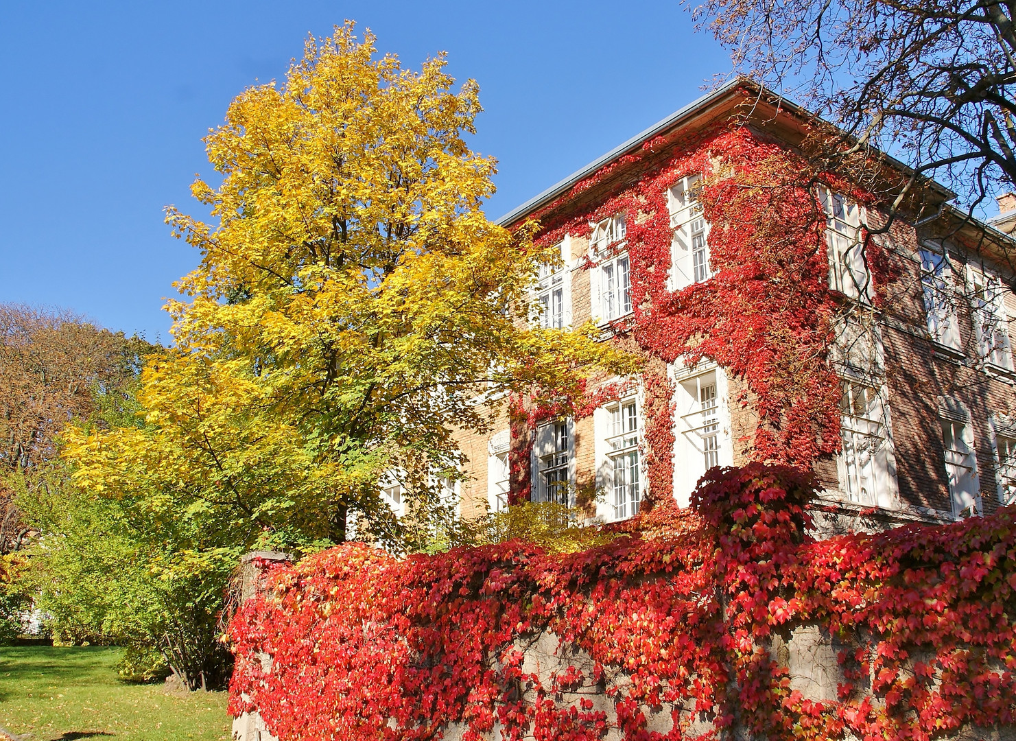 Herbstliches Wien