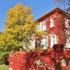 Herbstliches Wien