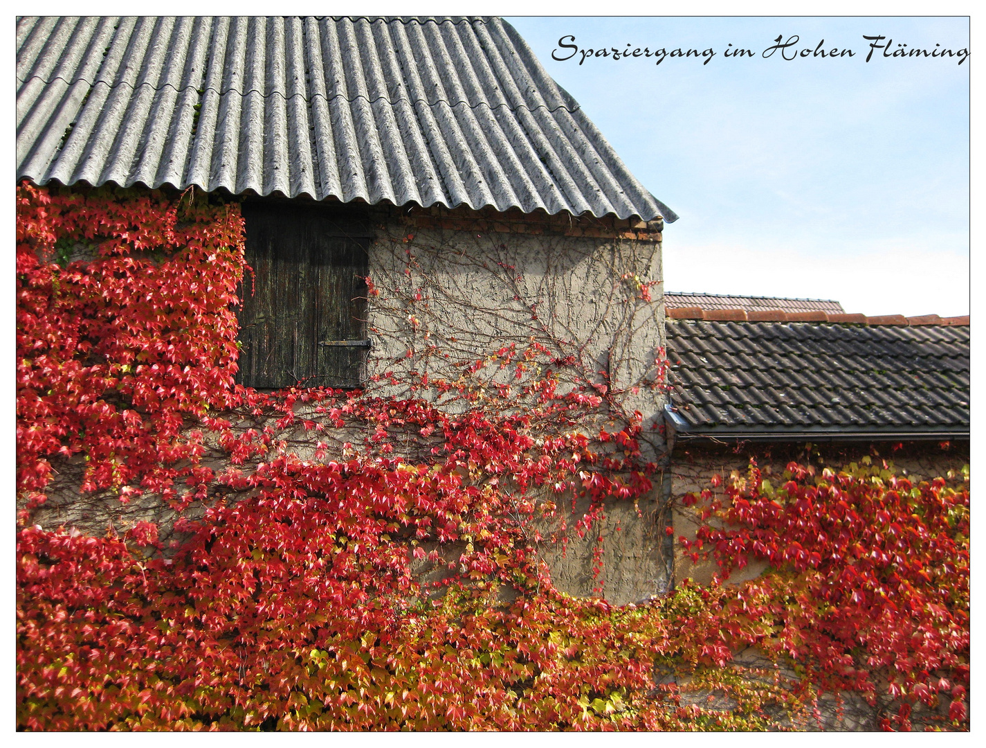 Herbstliches Wiesenburg