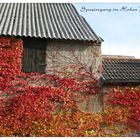 Herbstliches Wiesenburg