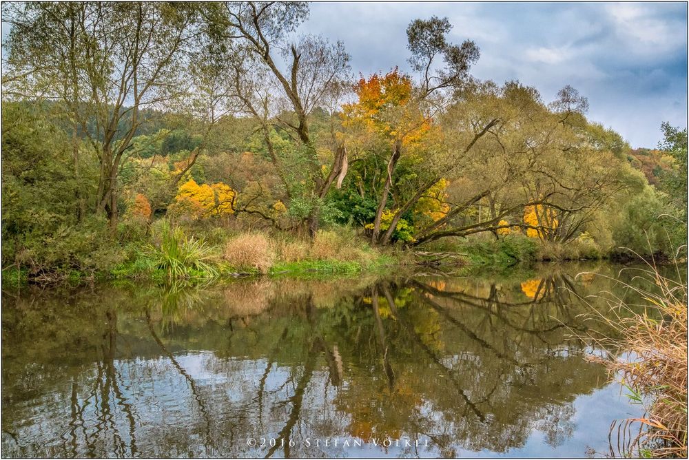 Herbstliches Wittgenstein