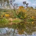 Herbstliches Wittgenstein