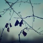 -herbstliche.sehnsucht-