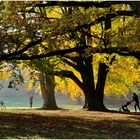 herbstliches....im November