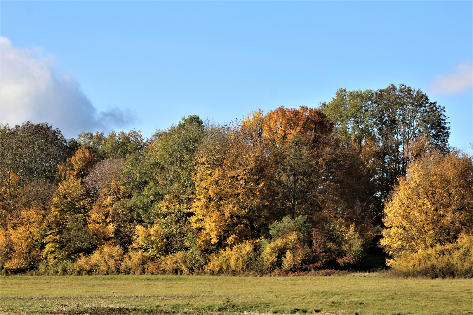 Herbstlichj(t)