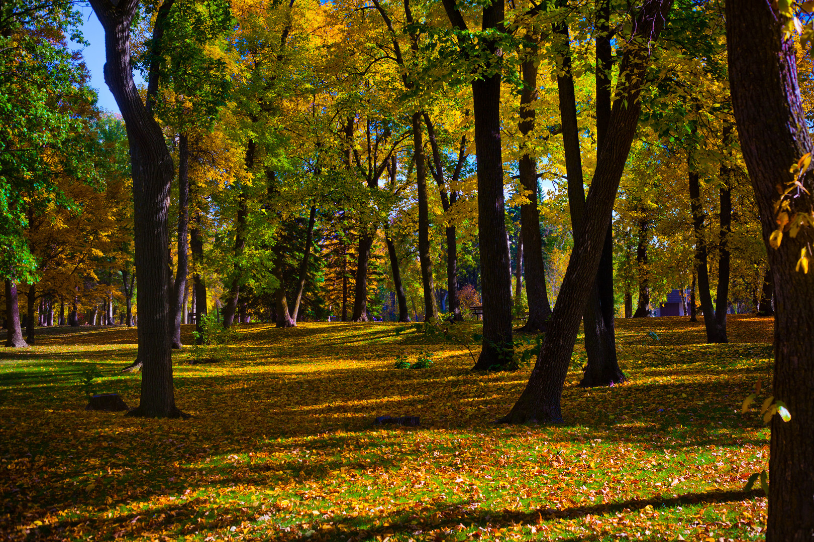 "Herbstlichkeit"