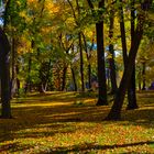 "Herbstlichkeit"