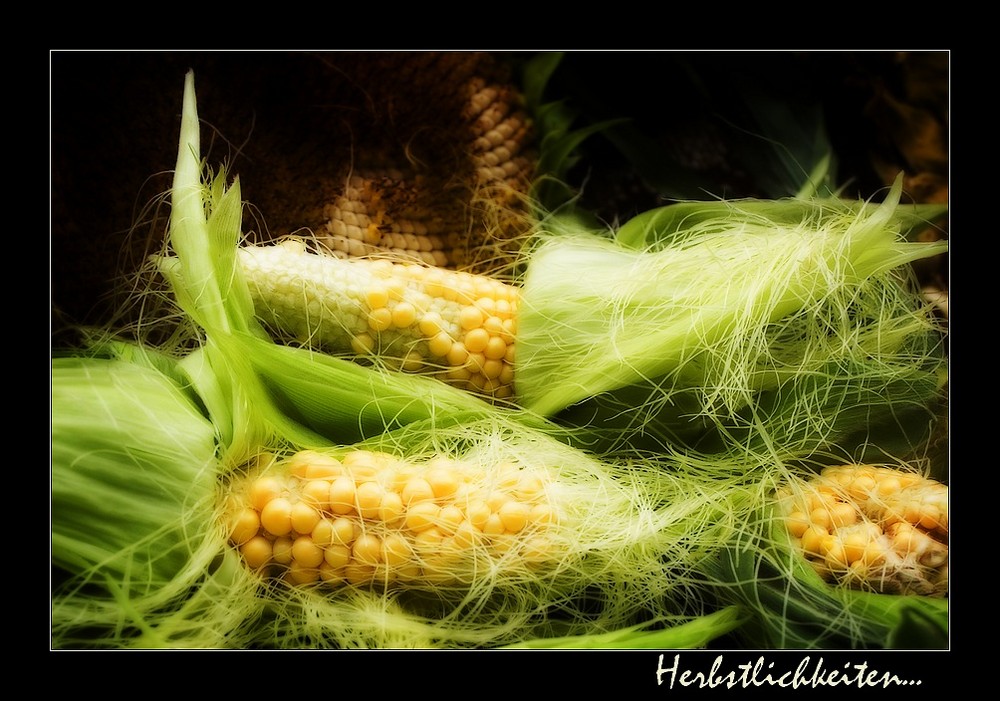 Herbstlichkeiten...