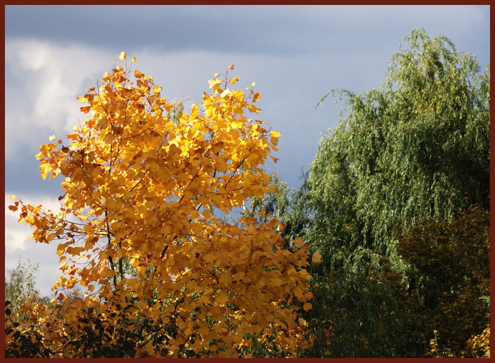 herbstlichst