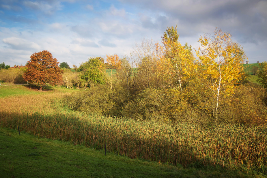 Herbstlicht