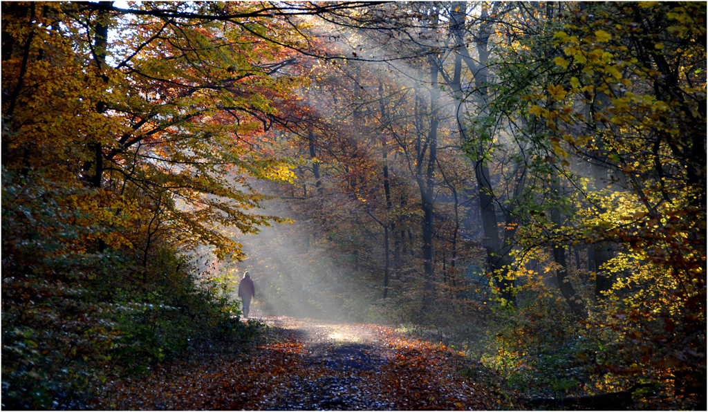 Herbstlicht