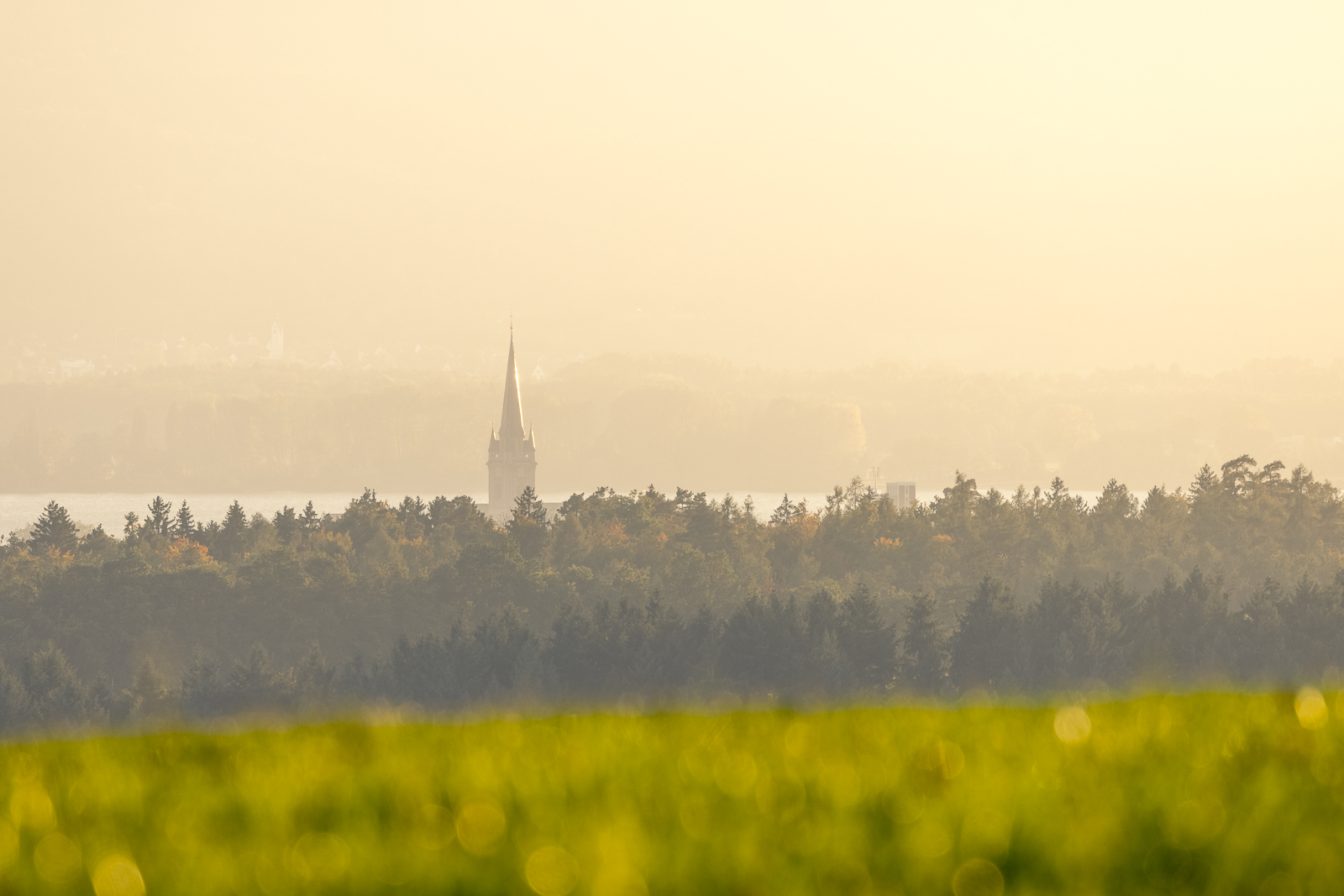 Herbstlicht