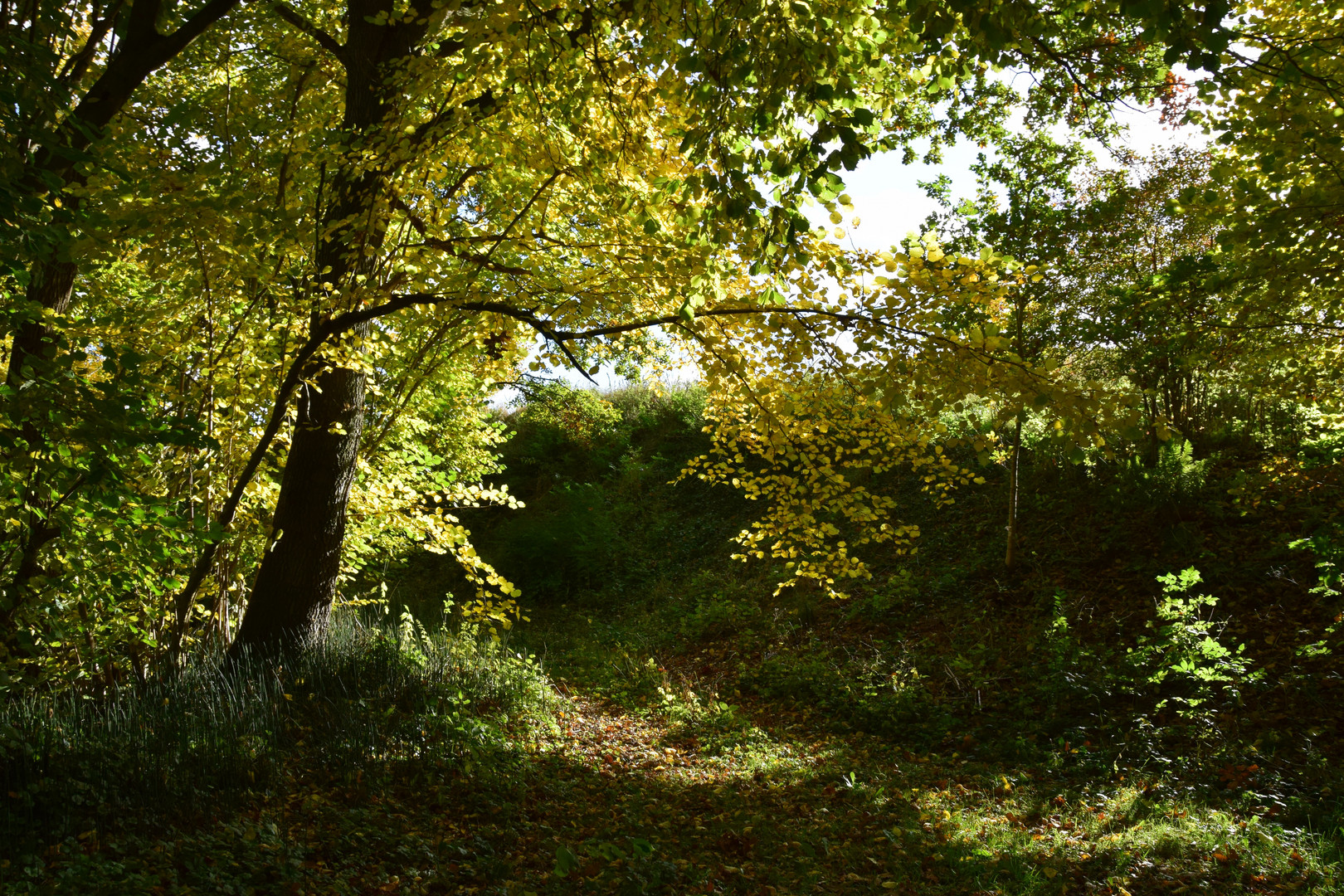 Herbstlicht