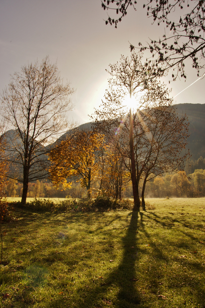 Herbstlicht