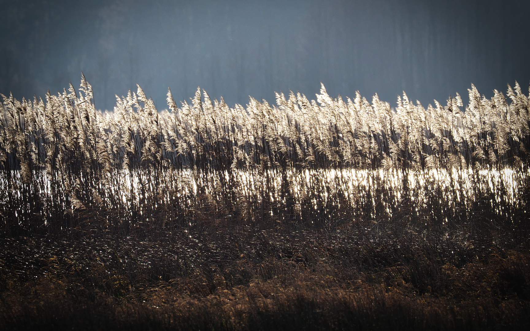 Herbstlicht