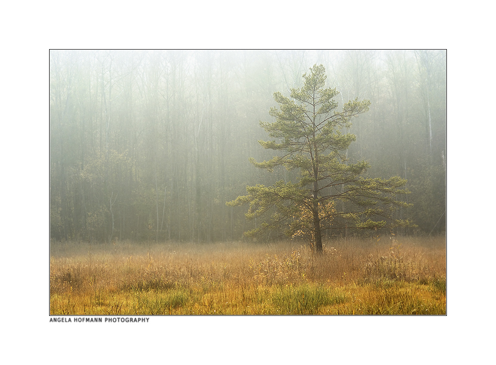 herbstlich(t)