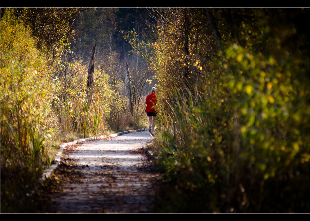 Herbstlich(t) # 10