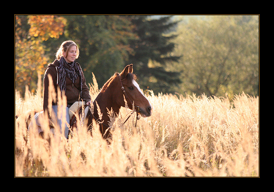 Herbstlicht