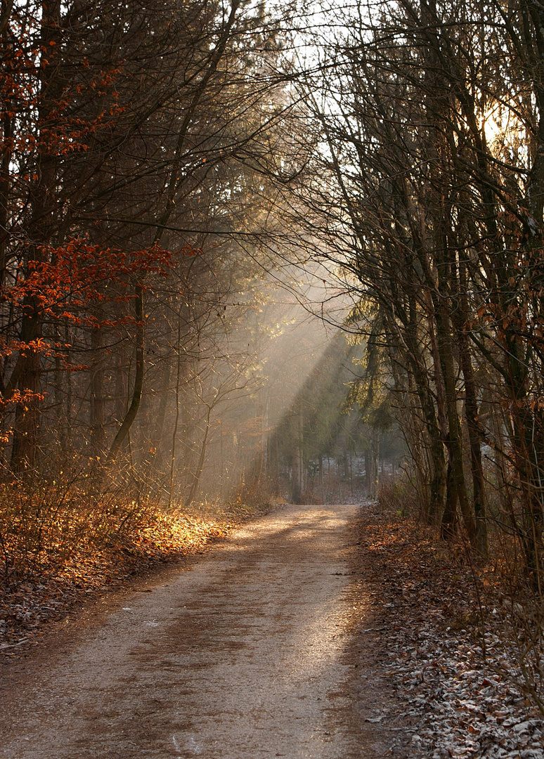 Herbstlicht