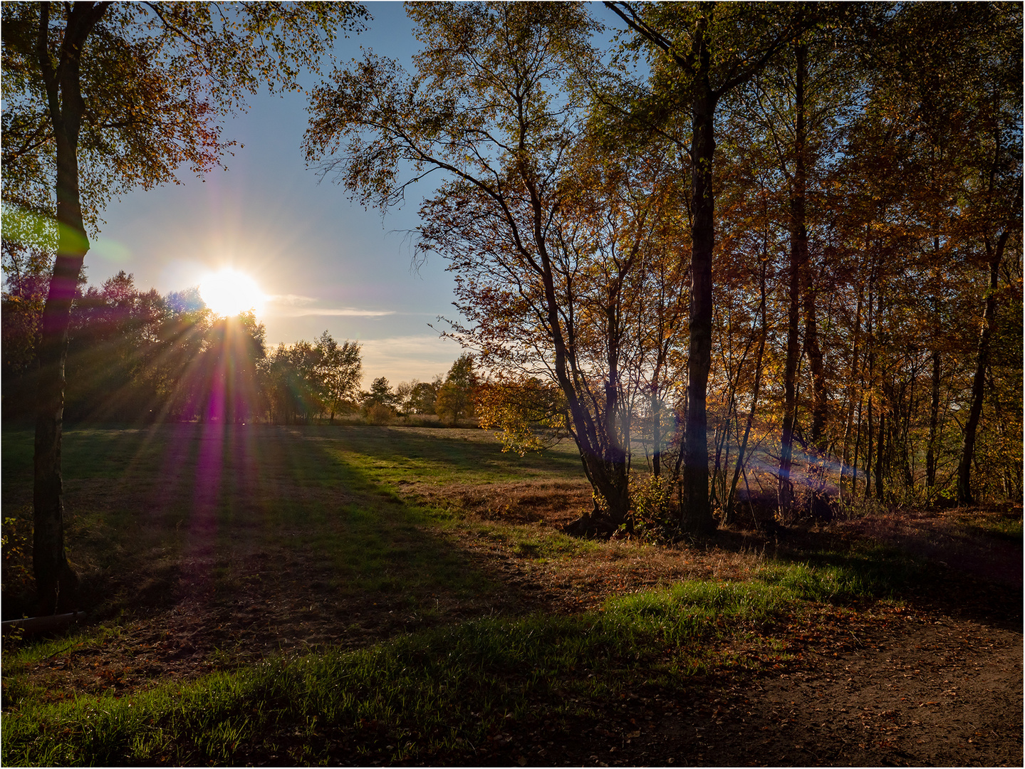 Herbstlicht....