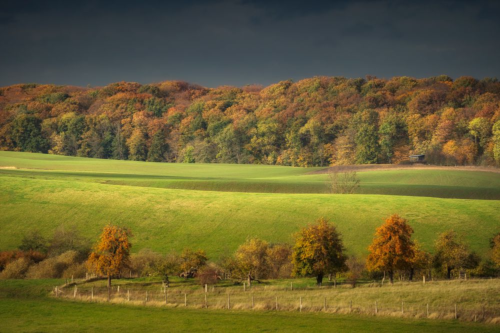 Herbstlicht