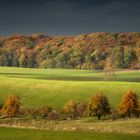 Herbstlicht