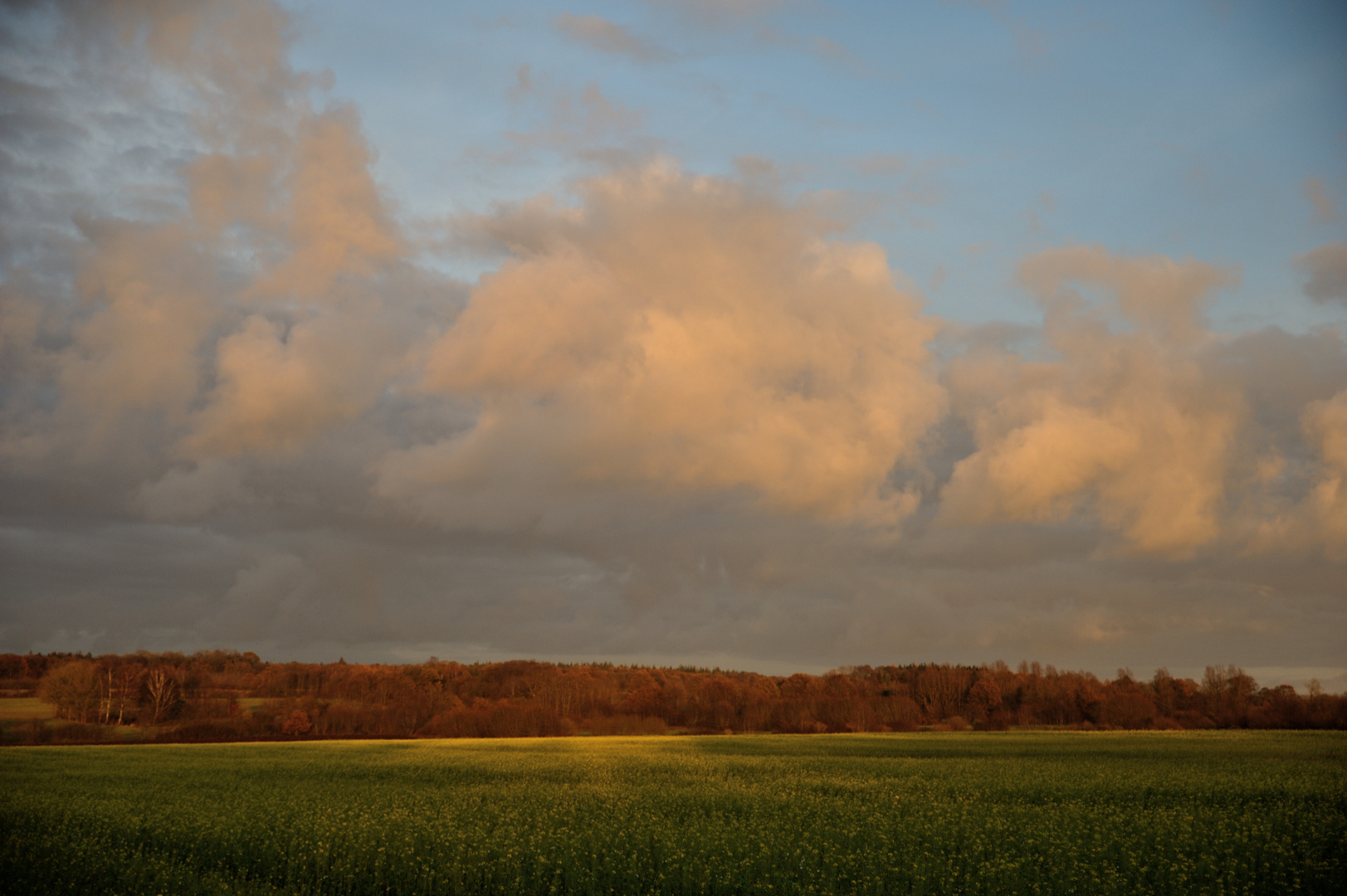 Herbstlicht