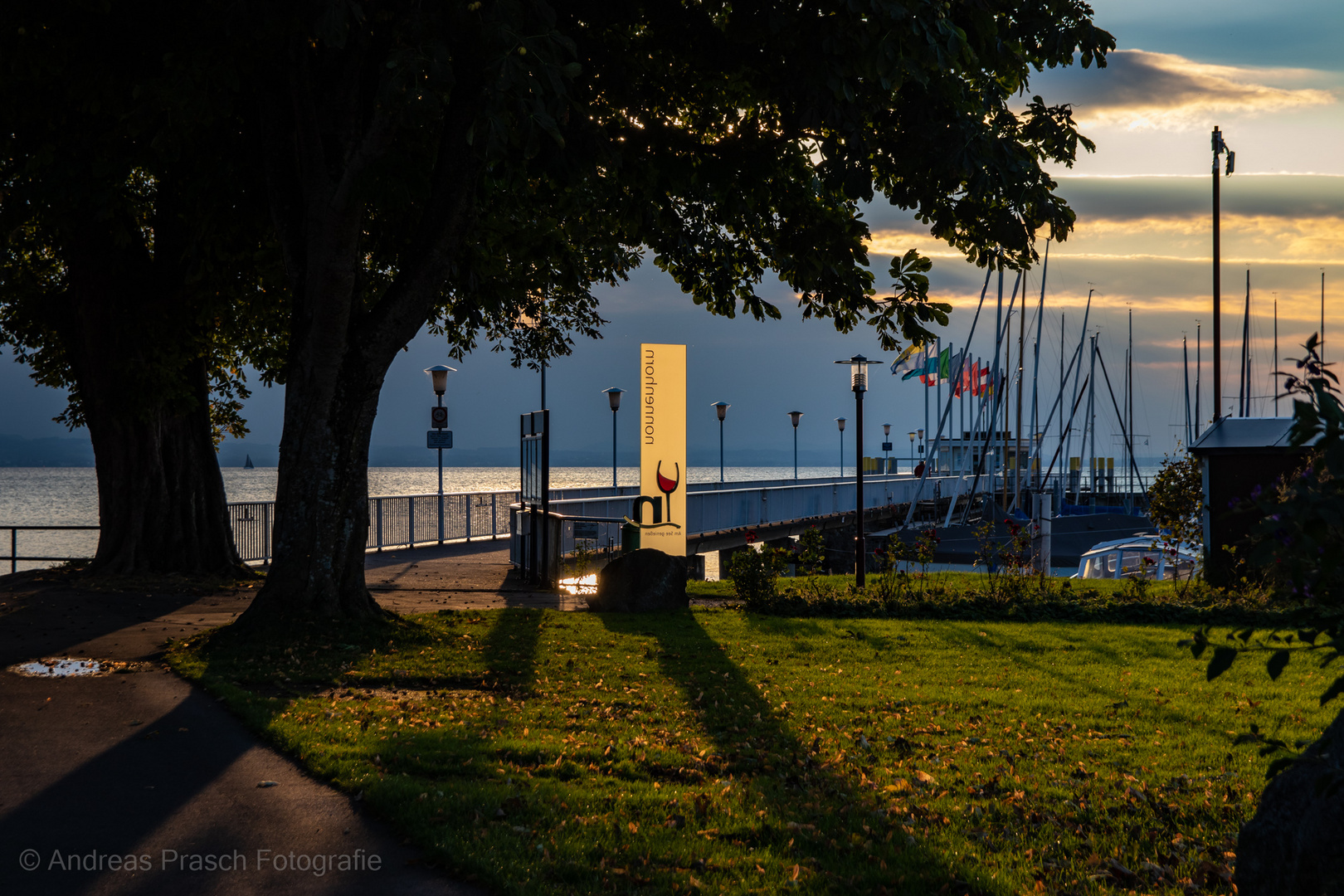 Herbstlicht