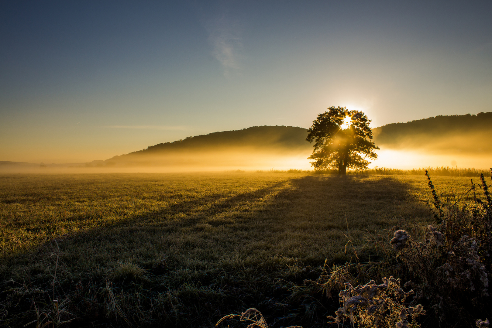 Herbstlicht