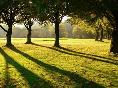 Herbstlicht