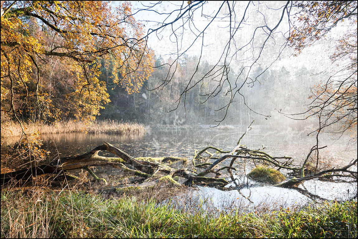 Herbstlicht #2