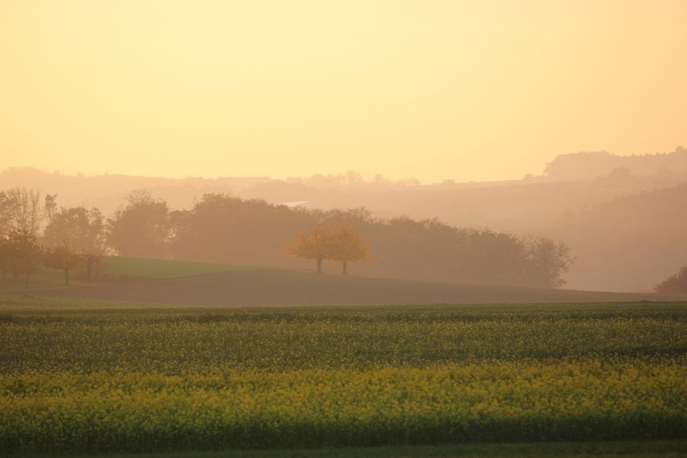 HerbstLich(t) 2