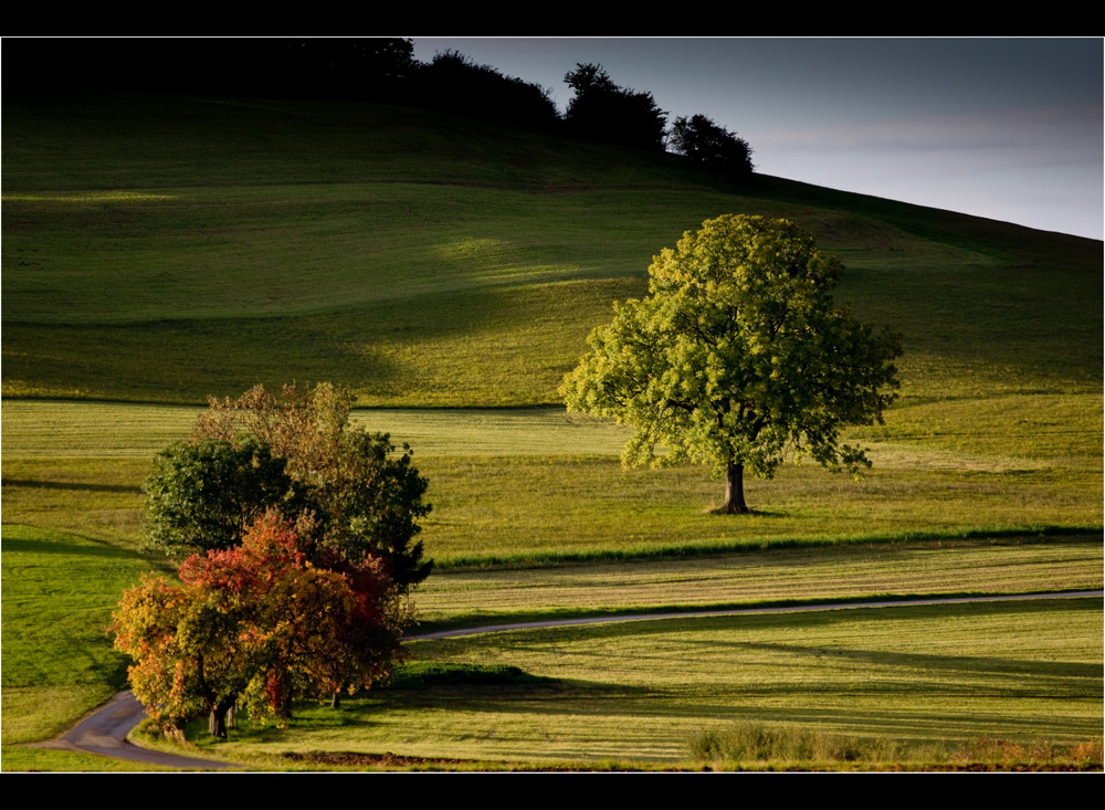 Herbstlich(t) # 2