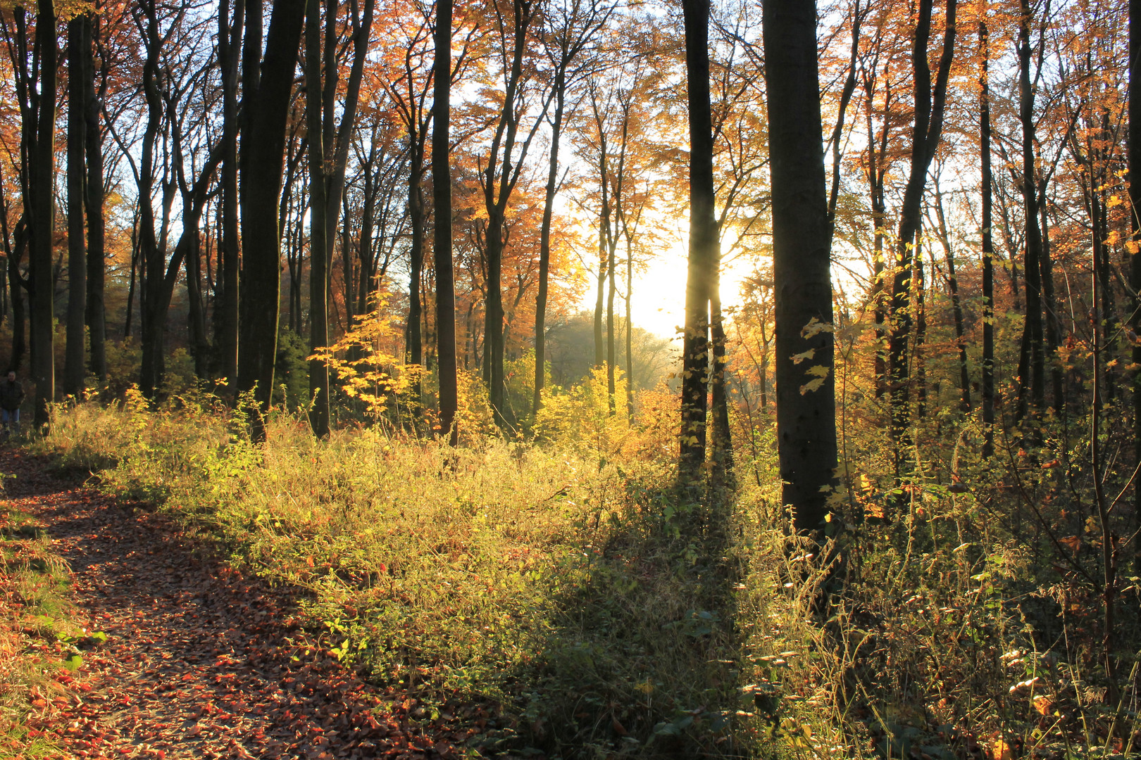 Herbstlich(t)-2