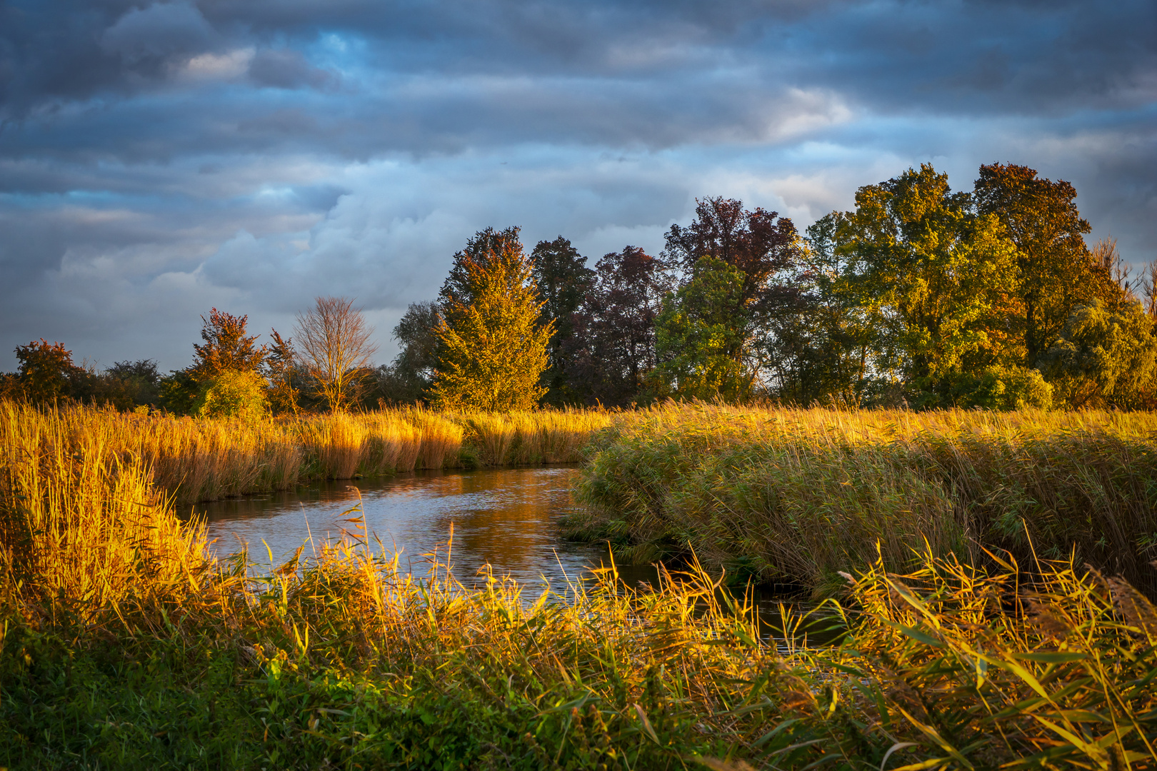 Herbstlicht