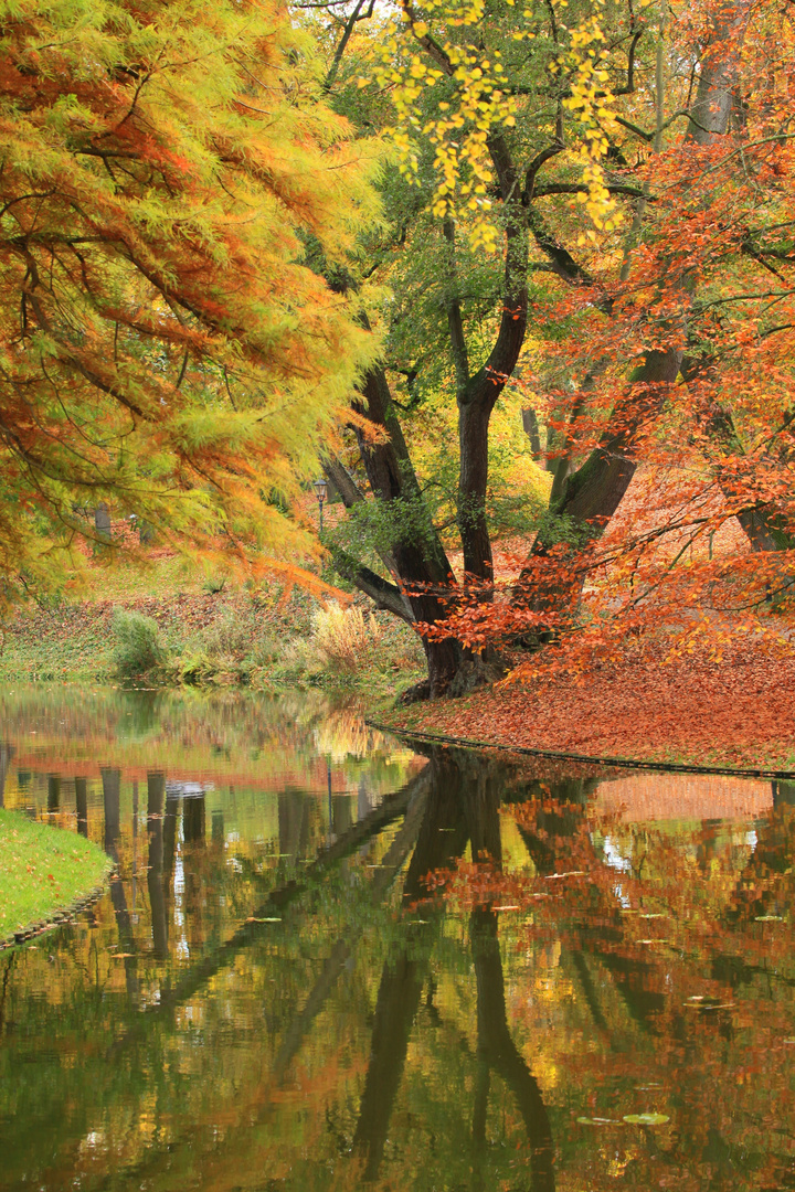 Herbstlicht