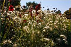 Herbstlicht