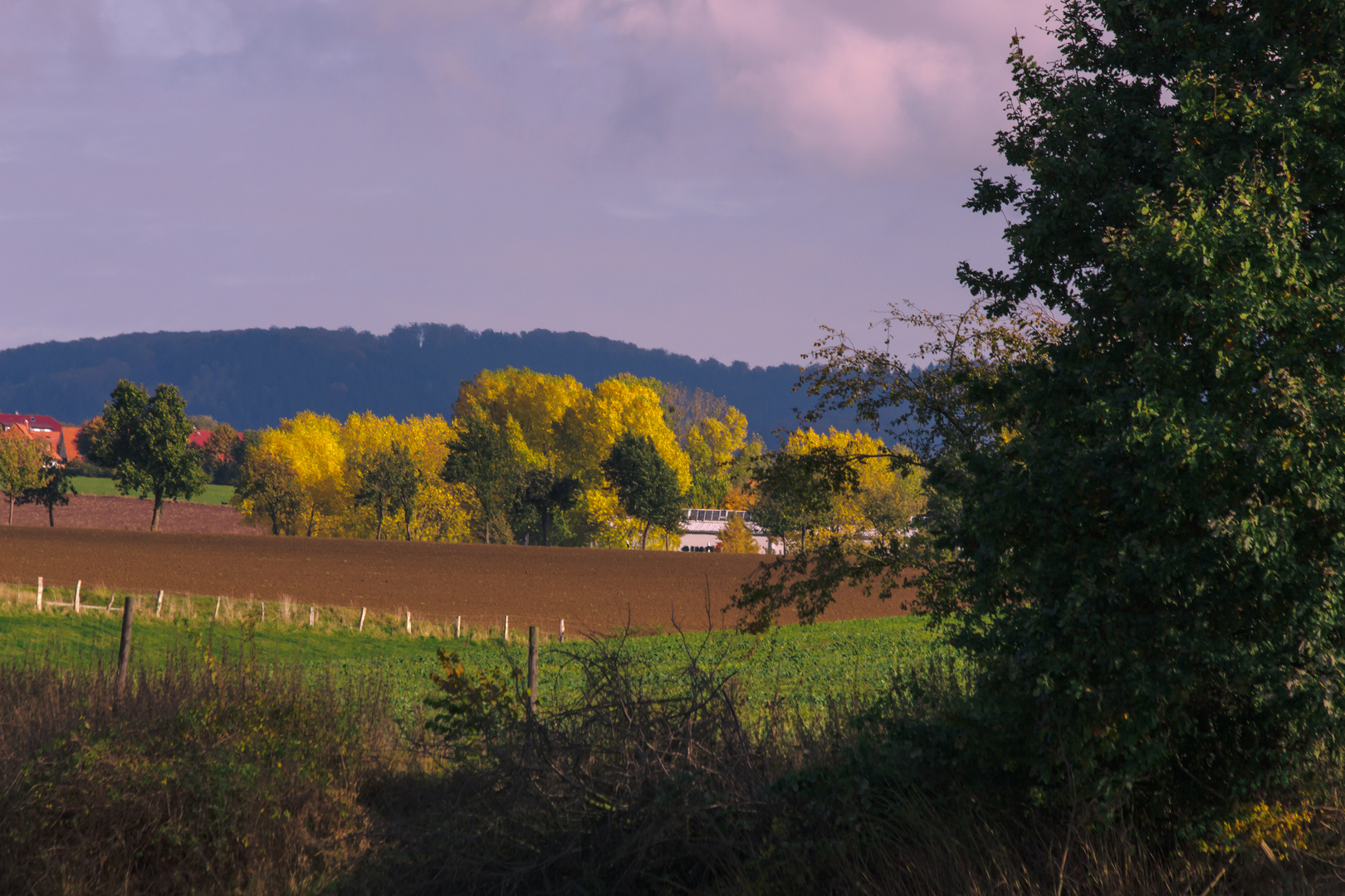 Herbstlicht