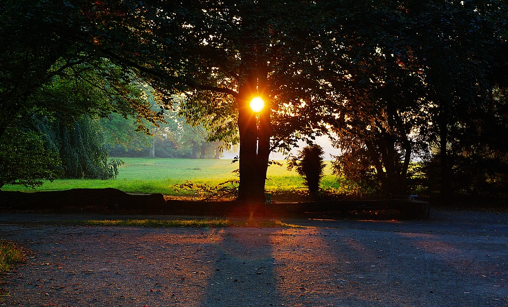 Herbstlicht.