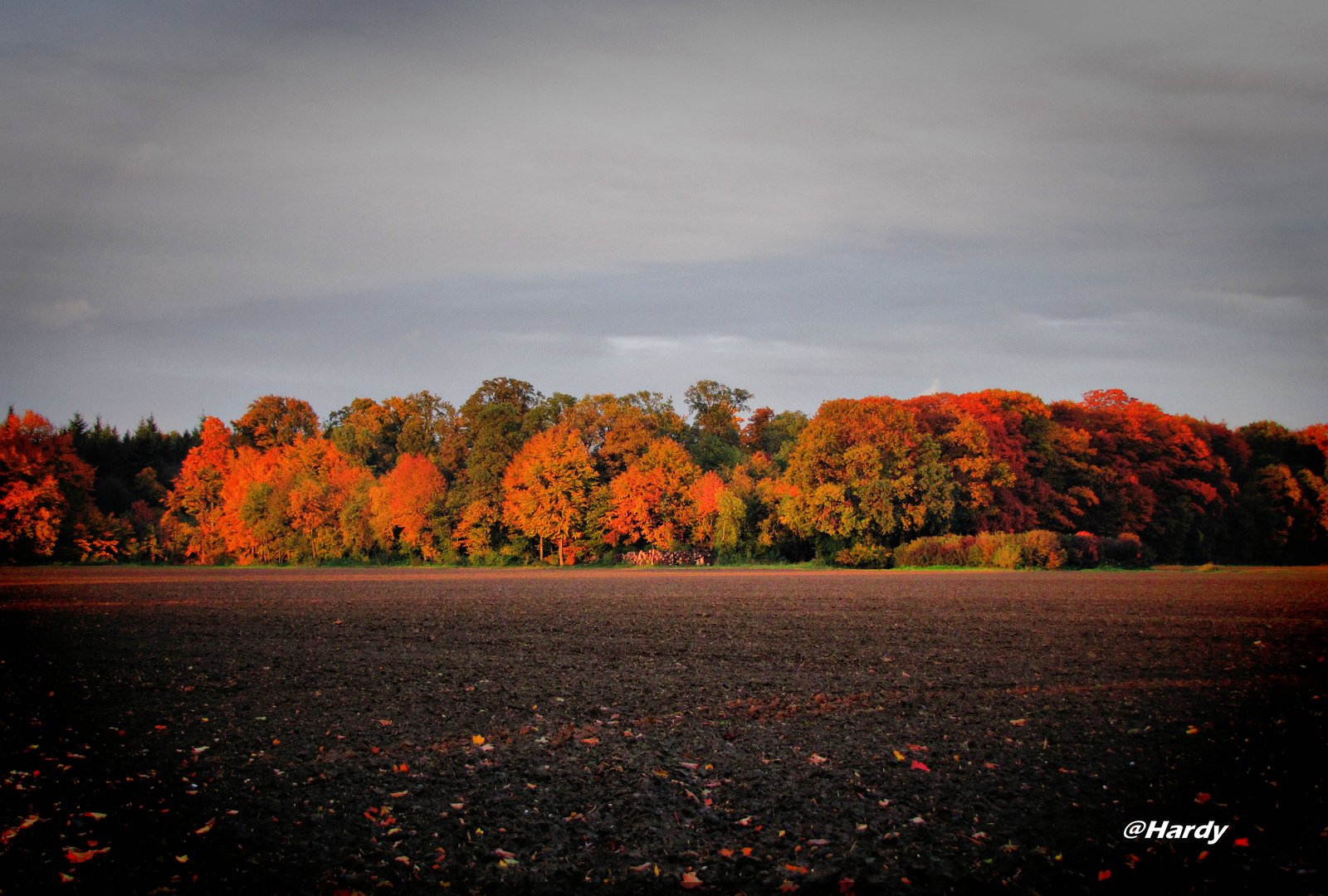 Herbstlicht!