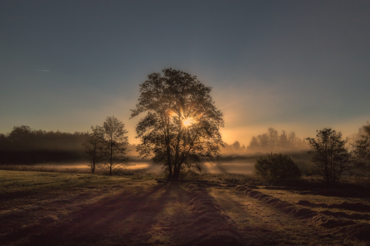 Herbstlicht