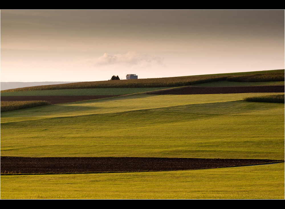 Herbstlich(t) # 3