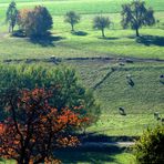 Herbstlicht