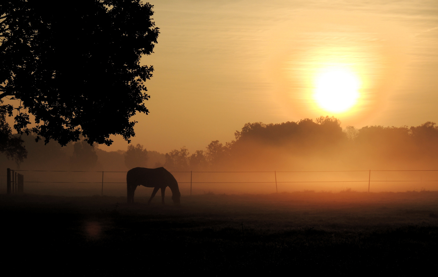 Herbstlicht.