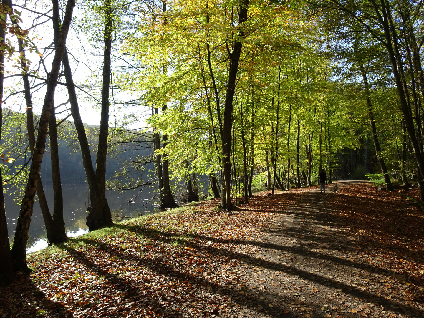 Herbstlicht