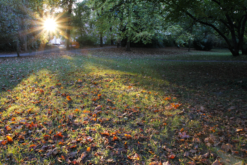 Herbstlicht